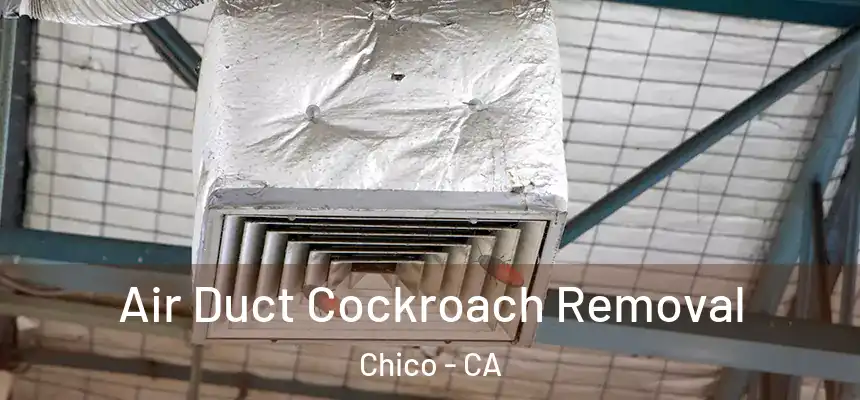Air Duct Cockroach Removal Chico - CA