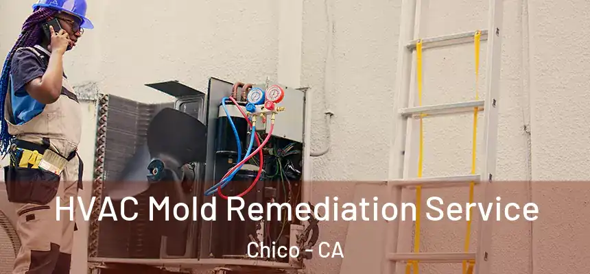 HVAC Mold Remediation Service Chico - CA