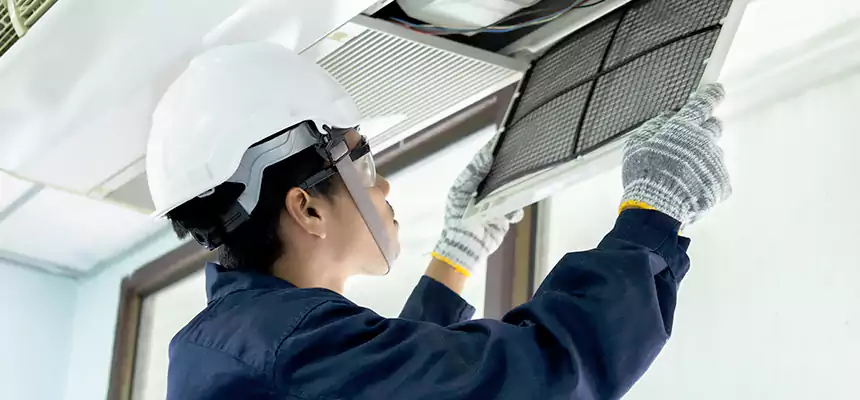 Our Mold & Mildew Removal from Air Ducts Services in Chico, CA