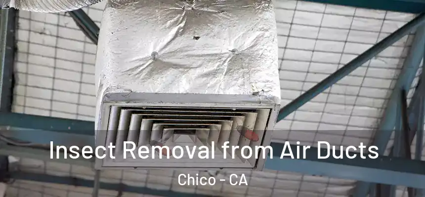 Insect Removal from Air Ducts Chico - CA
