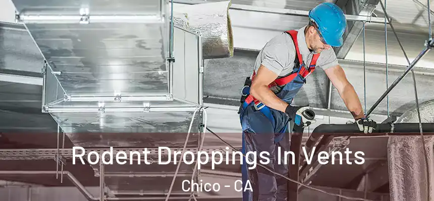 Rodent Droppings In Vents Chico - CA