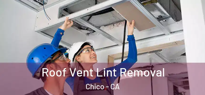 Roof Vent Lint Removal Chico - CA