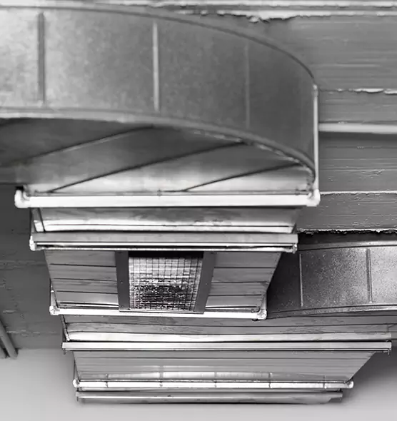 Professional Air Duct Pest Removal in Chico, CA