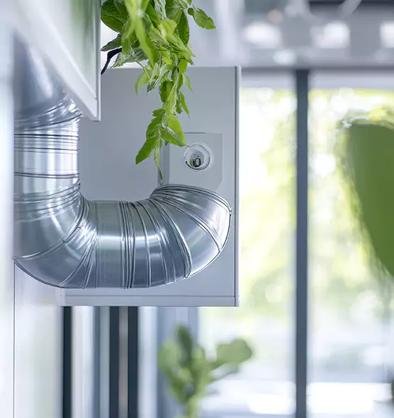 Professional Eco-Safe Dryer Vent Cleaning in Chico, CA