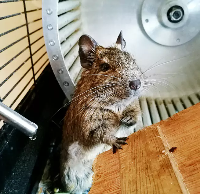 Why Homeowners & Businesses Trust Us Chico, CA