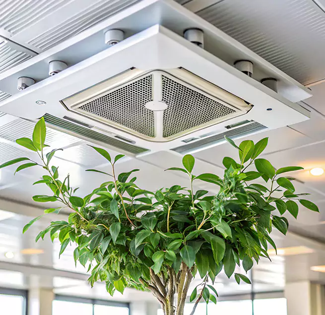 Why Homeowners & Businesses Trust Us in Chico, CA